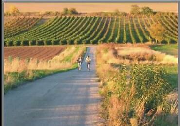 Alberndorf im Pulkautal