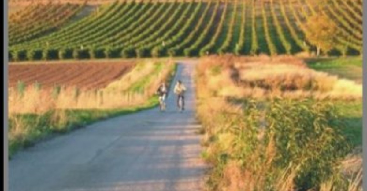 BERGFEX Panoramakarte Alberndorf im Pulkautal Karte Alberndorf im