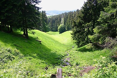 Goldlauter-Heidersbach / Suhl