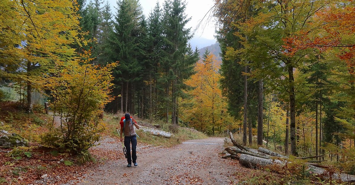 Rundwanderung Von Valbruna über Den Monte Lussari Nach Sella Prasnig ...