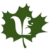 Логотип Trarego Cheglio Viggiona