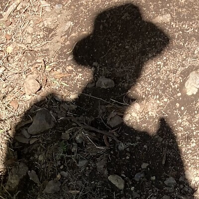 Avatar de Nico Greiner