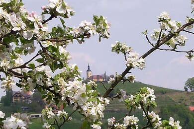 Kitzeck im Sausal