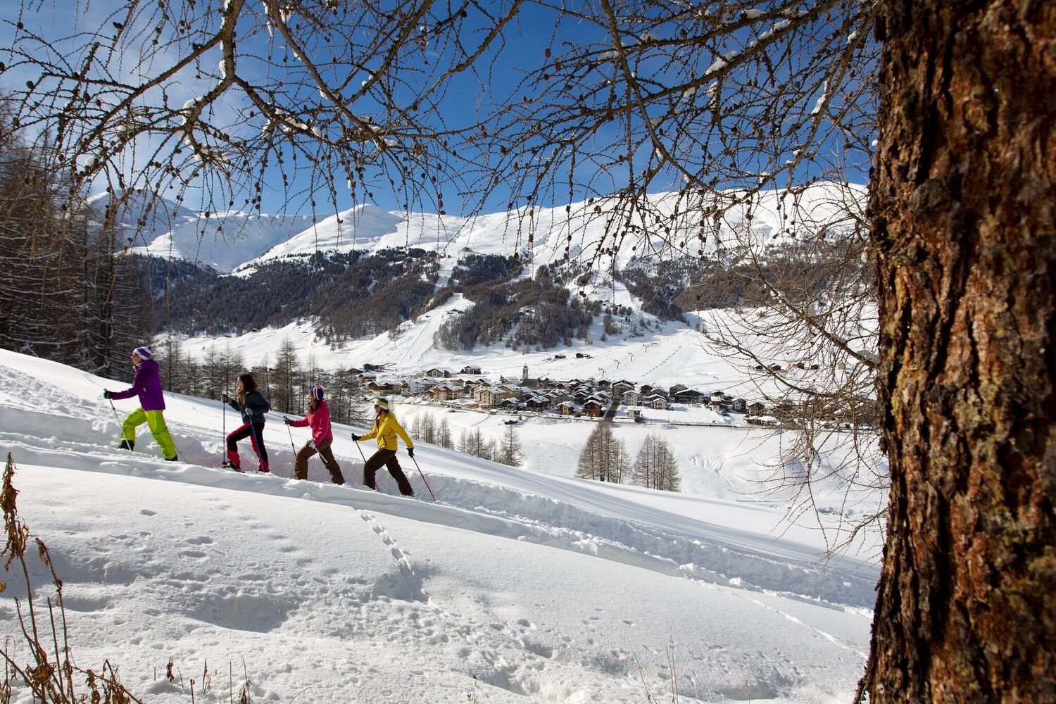 Livigno