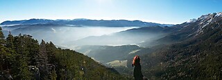 Reichenau / Rax - Raxalpe