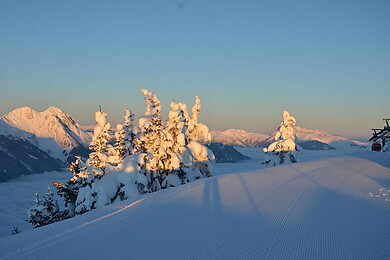Dorfgastein / Ski amade