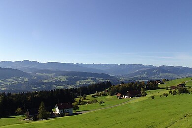 Sulzberg