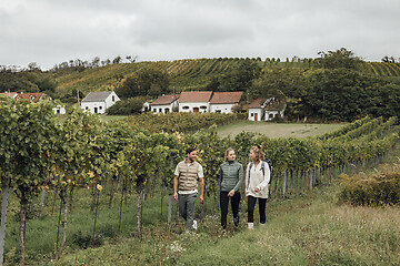 Ab durch die schönsten Weinlagen!