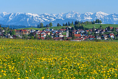 Scheidegg