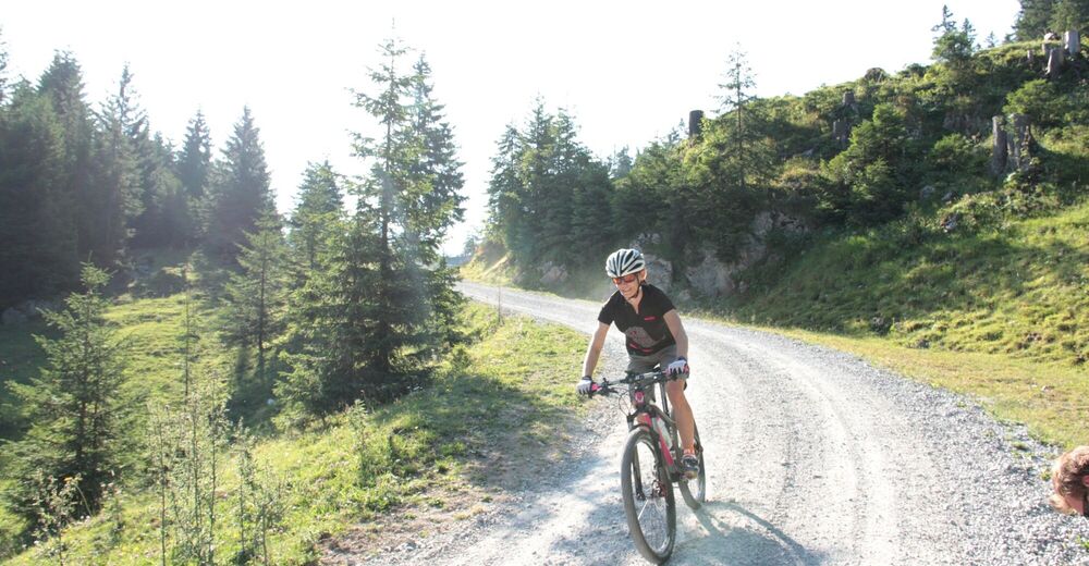 Radweg Tannheimer Tal Radwandern BERGFEX Radfahren Tour Tirol