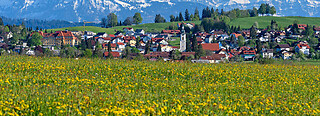 Scheidegg