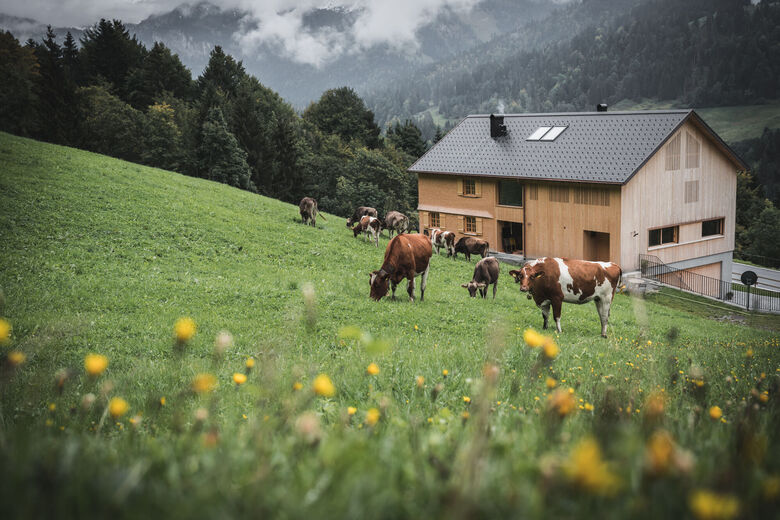 Halwina Hideaway