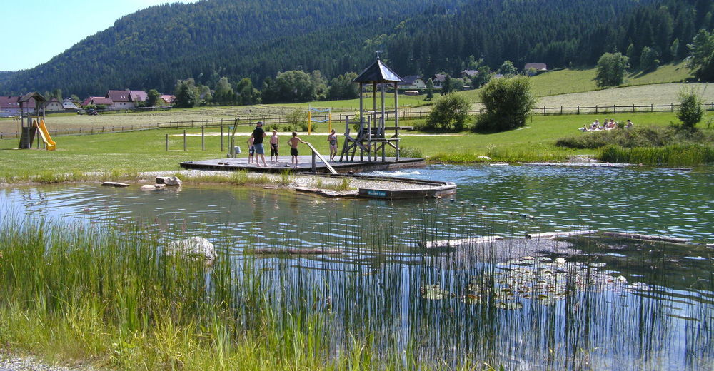 BERGFEXBadesee Naturbadeteich Glödnitz angelegter Badesee See