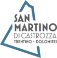 Logo Der Naturpark Paneveggio Pale di San Martino
