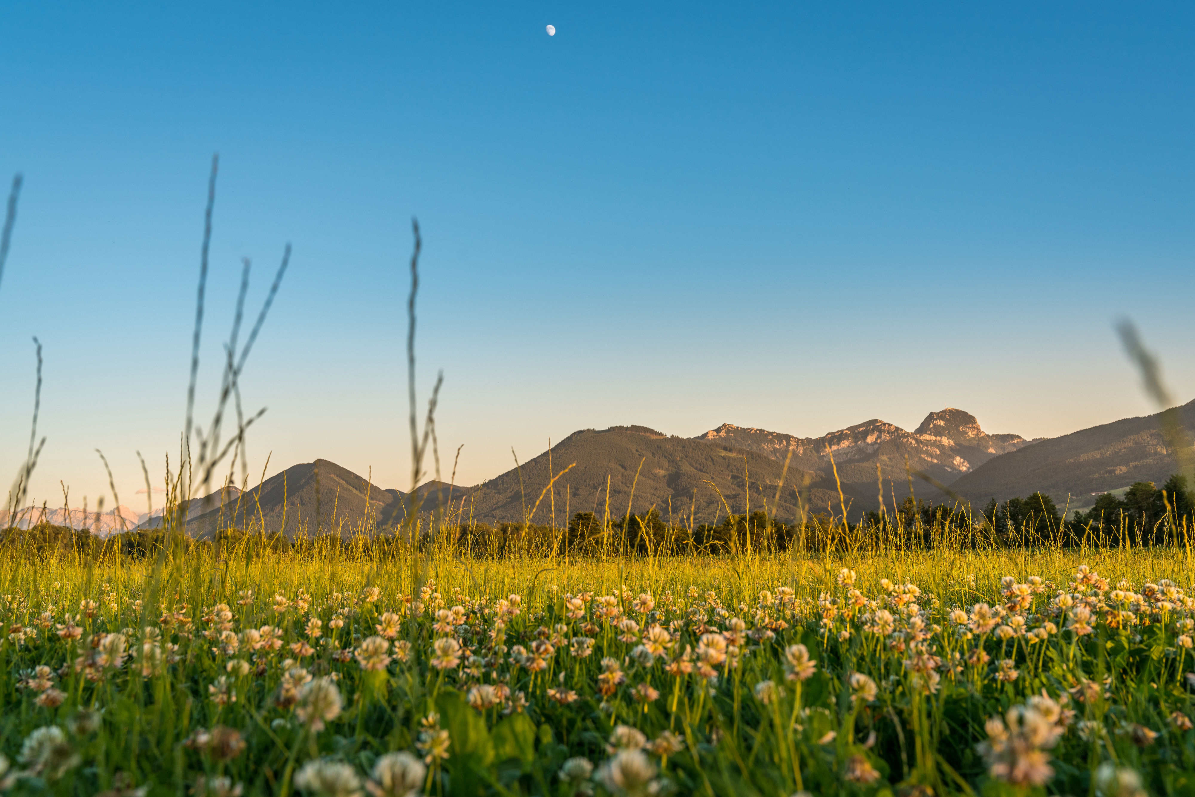 BERGFEX: Bad Feilnbach: Urlaub Bad Feilnbach - Reisen Bad Feilnbach 