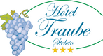Логотип фон Hotel Traube