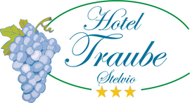 Logo Hotel Traube