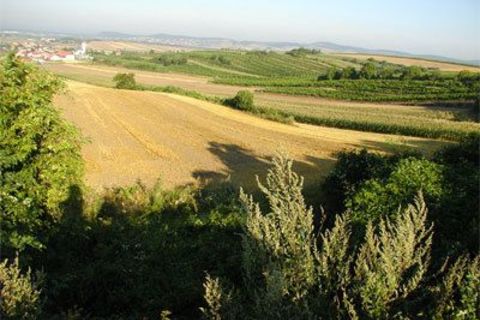 Stettner Rundwanderweg