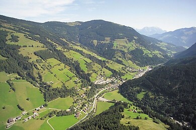 Viehhofen