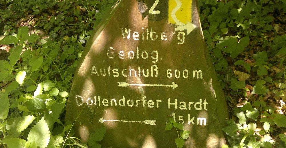 Oberkassel nach Königswinter BERGFEX Wanderung Tour