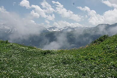 Hochwang