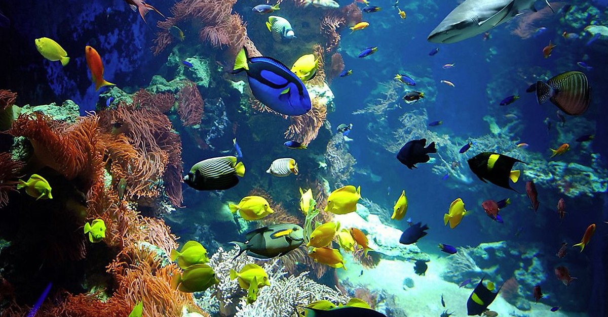 BERGFEXSehenswürdigkeiten Haus der Natur Salzburg Salzburg Stadt
