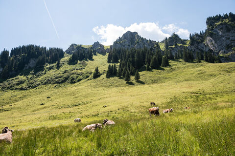 Wandern in Obermaiselstein