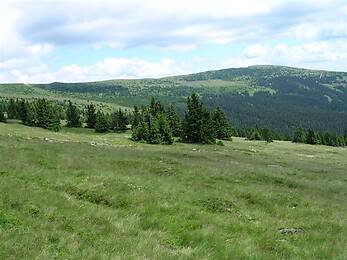 Waldbach-Mönichwald