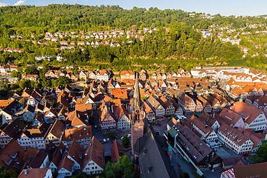Calw