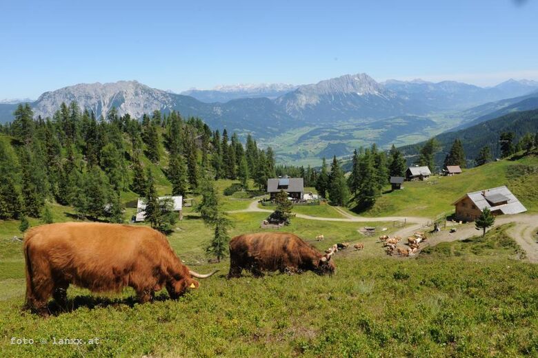 Galsterbergalmhütten