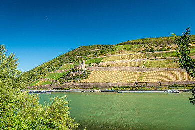 Rheinhessen