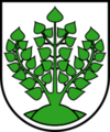 Логотип Struppen