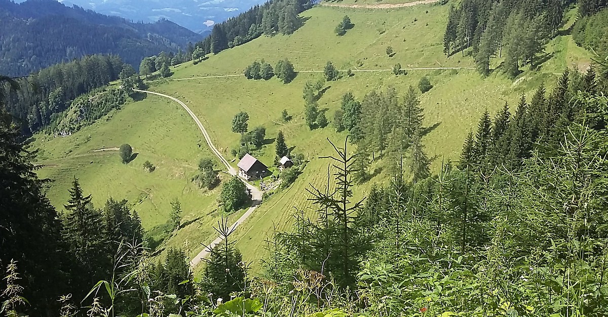 St.Marein zur Hofbauer Alm - BERGFEX - Mountainbike - Tour Steiermark