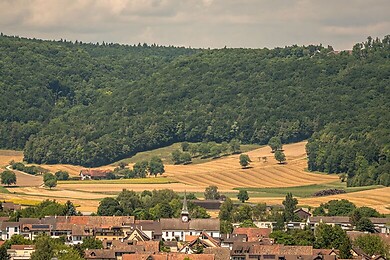 Beringen