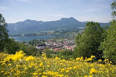 Mondsee am Mondsee
