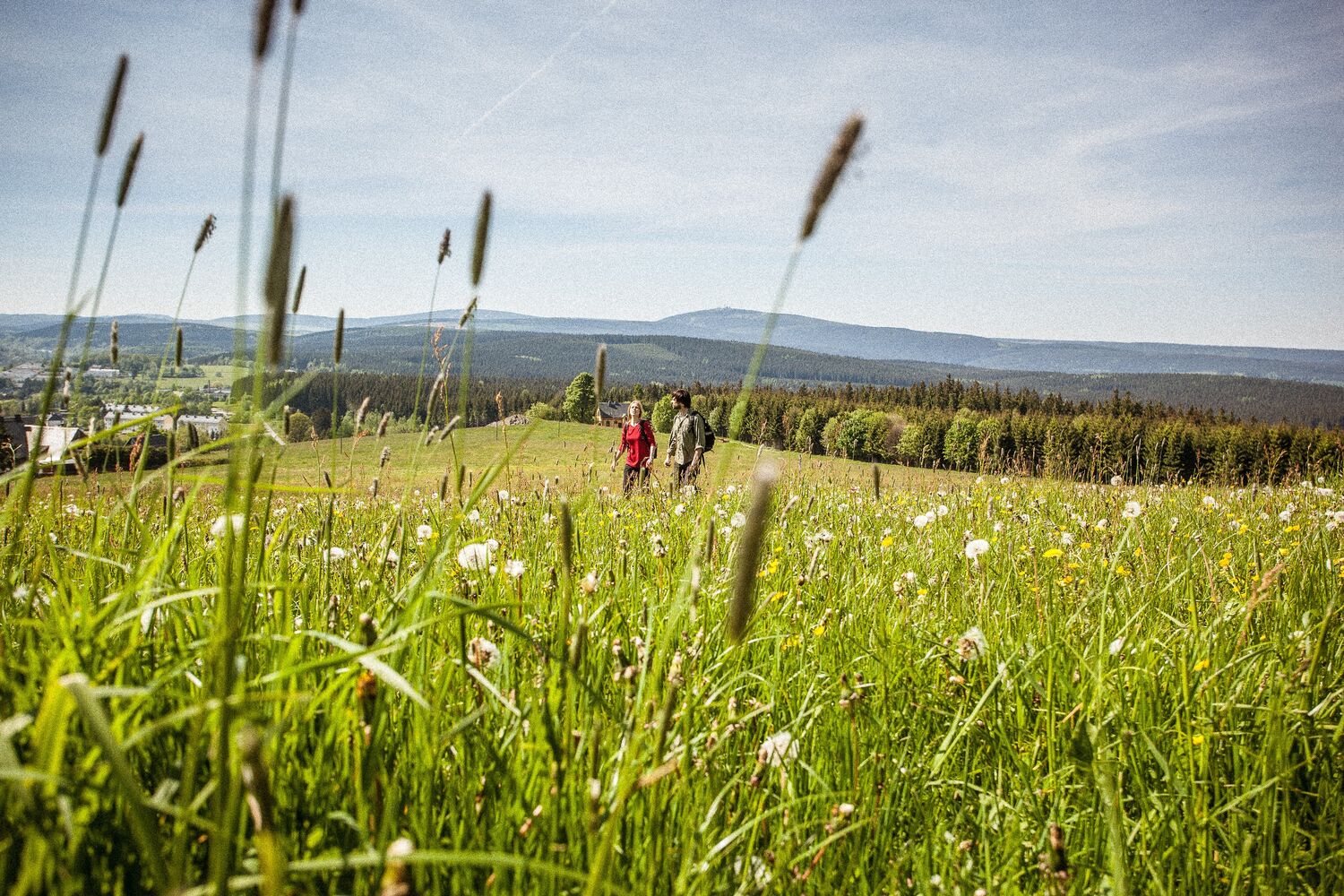 Erzgebirge