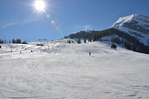 Hiihtoalue Wiriehorn / Diemtigtal