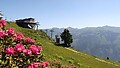 Sommerregion