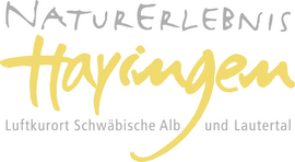 Logo Hayingen
