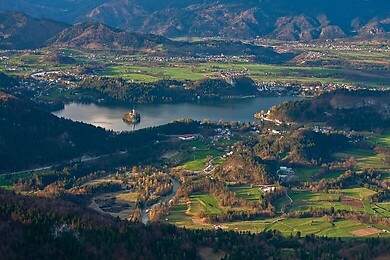 Bled