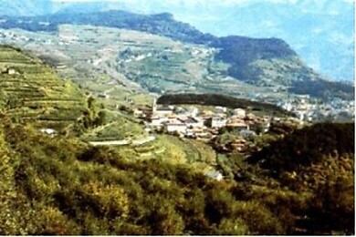 Giovo