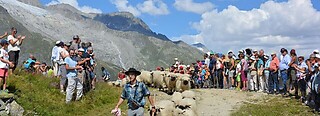 Blatten-Belalp