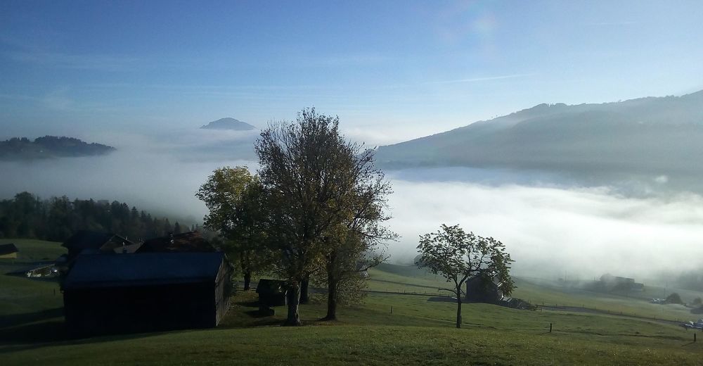 Tageswanderung Urnäsch Hochalp Schwägalp BERGFEX