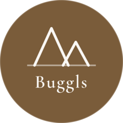 Logotip Apartment Buggls