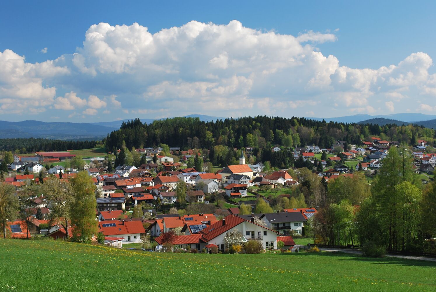 Bischofsmais