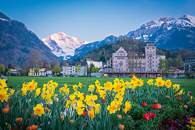 Interlaken - Matten - Unterseen