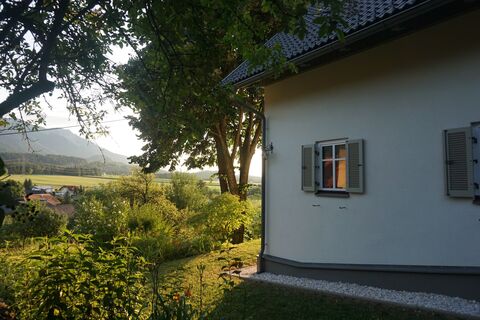 Haus