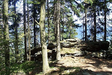 Hohenwarth