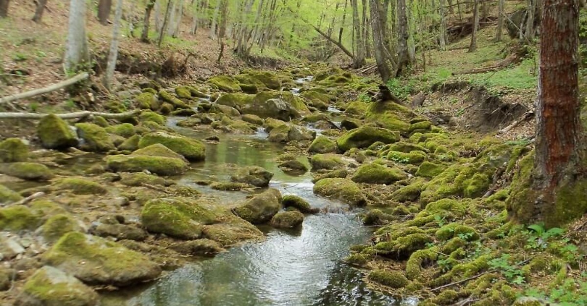 Itinerary of the country churches and gullies in the Bormida di Spigno