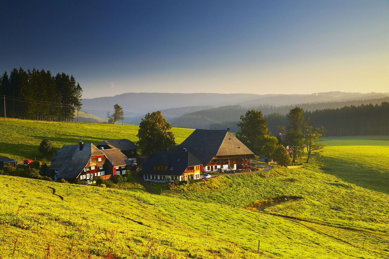 Schwarzwald